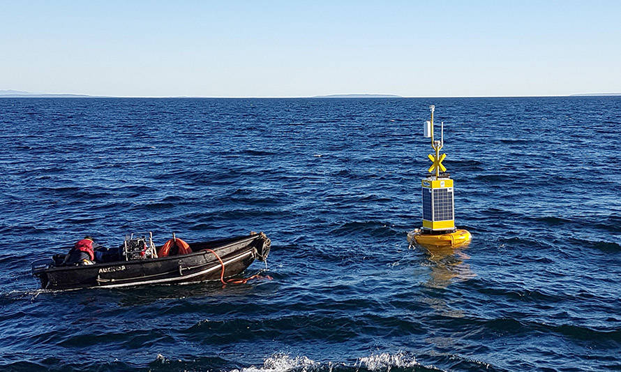 Observatorio Marítimo Reloncaví aporta al desarrollo de 16 proyectos de investigación oceanográfica