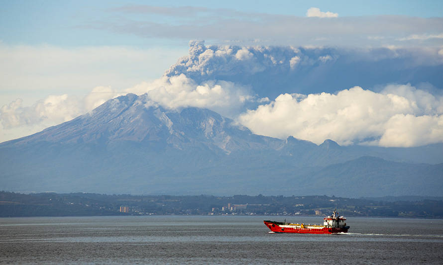 Investigación reveló efectos de ceniza "fresca" del volcán Calbuco sobre los mares interiores