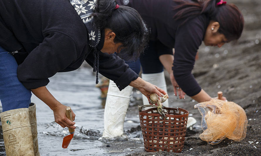 Los Lagos: Sernapesca inició ciclo de inducciones dirigido a mujeres de la pesca artesanal