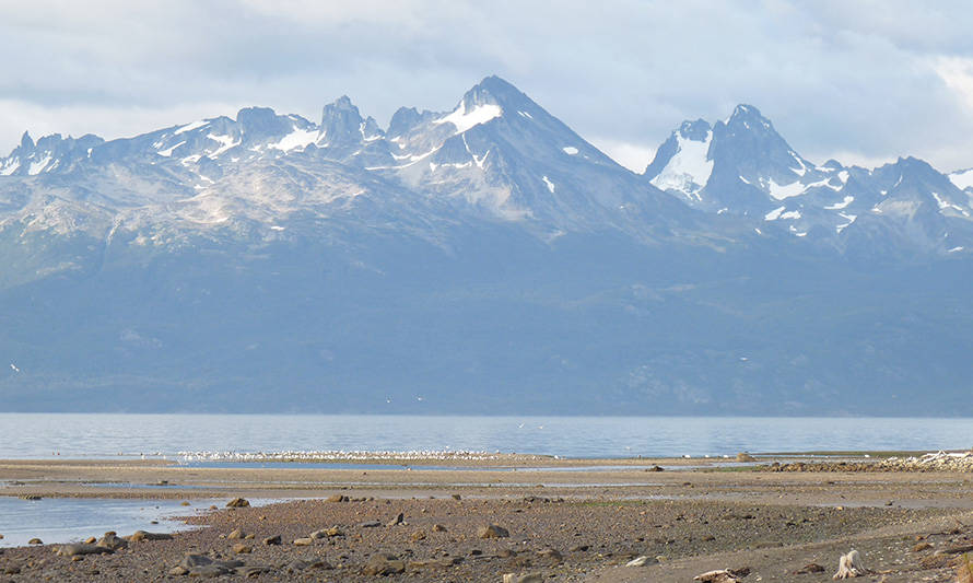 Aprueban en Argentina ley que prohíbe el cultivo de salmón en Tierra del Fuego