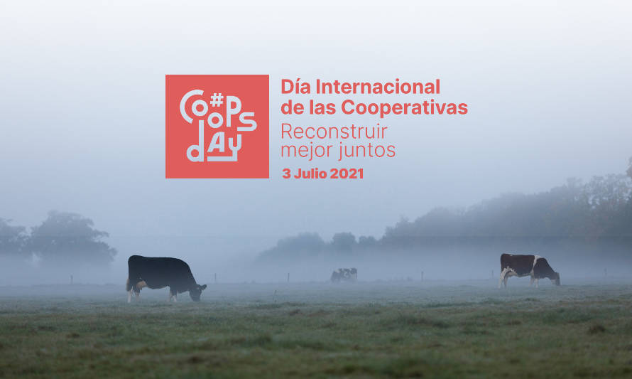 Cooperativas lecheras conmemoran el Día Internacional de las Cooperativas