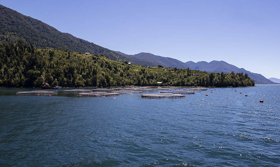 Gobernador electo de Magallanes aseguró que el sur de Chile ha tenido una experiencia “bastante agraz” con la salmonicultura