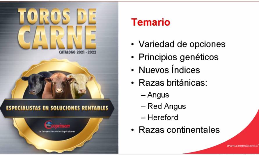 Cooprinsem lanzó Catálogo de Toros con foco en nuevas tecnologías y rentabilidad 