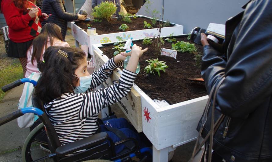 Liceo de Osorno creó huerto terapéutico de plantas medicinales