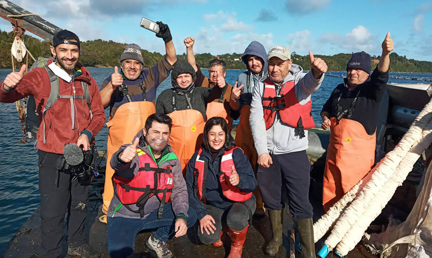 Este domingo: programa “Chile Conectado” mostrará la labor de los productores de choritos de Calbuco 