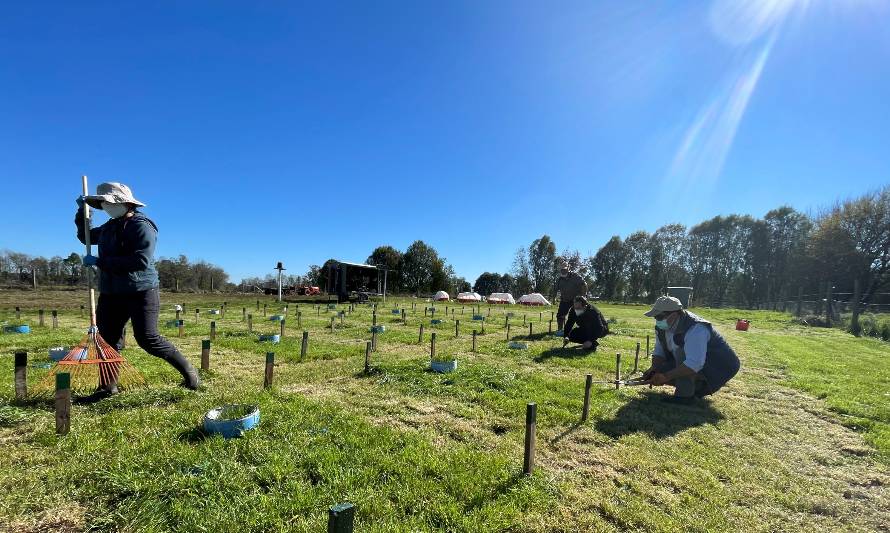 INIA da a conocer avances en materia de sustentabilidad ambiental y carbono neutralidad al año 2050