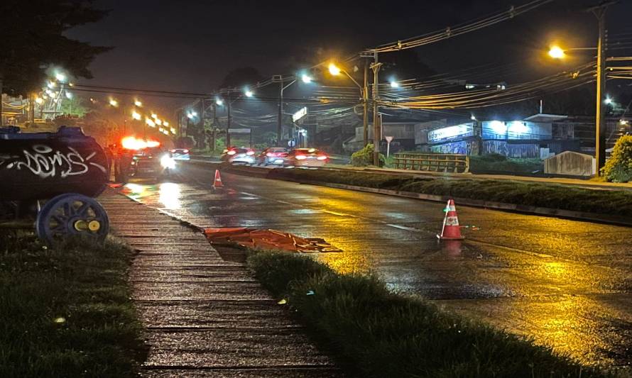 Hombre murió atropellado tras cruzar en paso no habilitado en Puerto Montt