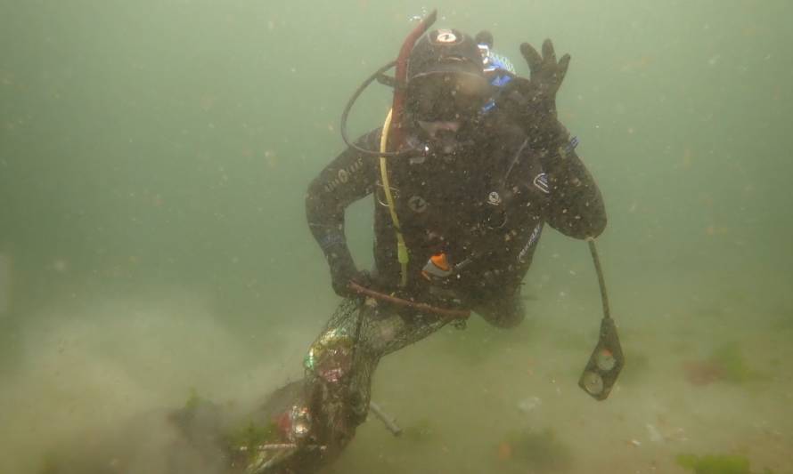 Recolectan 91 neumáticos y una tonelada de basura doméstica en fondo marino de Chonchi