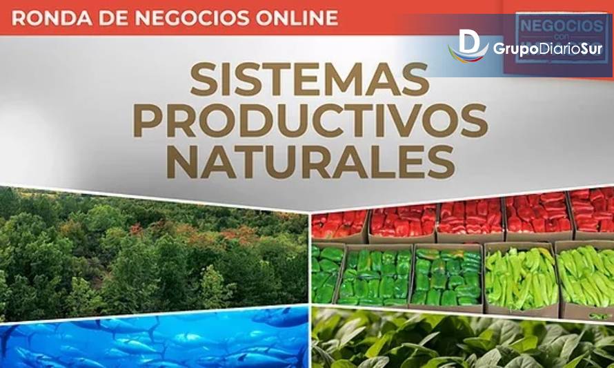 Invitan a emprendedores participar en Ronda de Negocios de sistemas productivos naturales