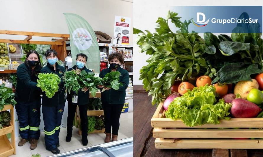 Veggiebox el producto estrella de la cooperativa de mujeres campesinas de Osorno