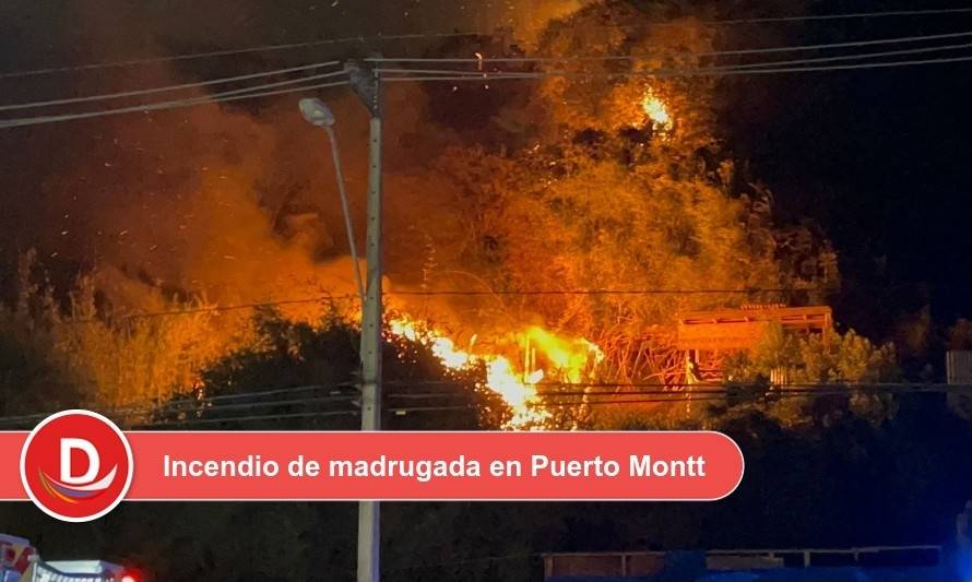Incendio destruyó vivienda y se propagó hacia matorrales en Puerto Montt