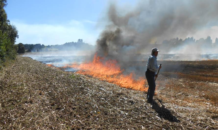 CONAF suspendió quemas agrícolas en toda la Región de Los Lagos