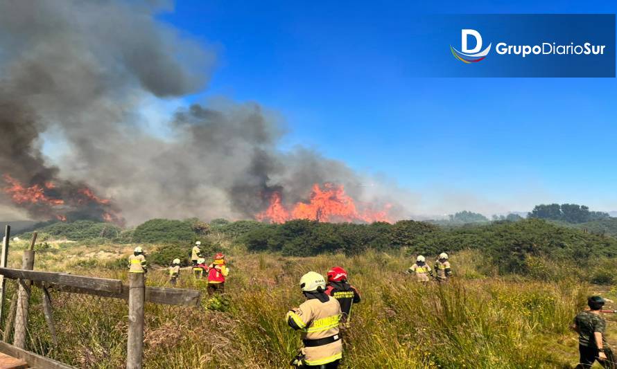 Incendio Forestal: Onemi solicita evacuación preventiva del sector La Vara 