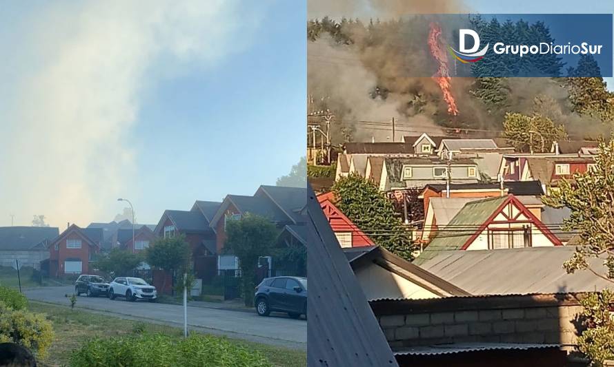 [ÚLTIMA HORA] A esta hora bomberos combate incendio de pastizales en Osorno 