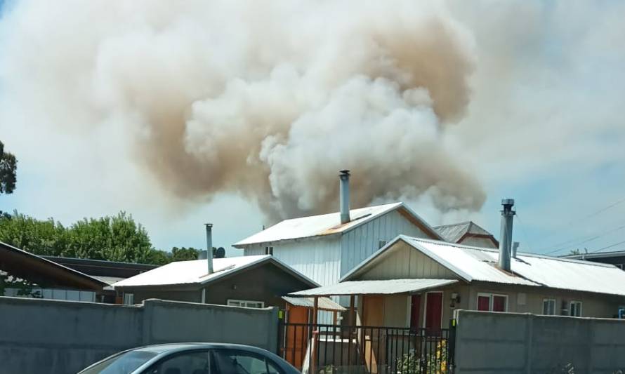 Bomberos y Conaf trabajan en incendio forestal sector Chamiza