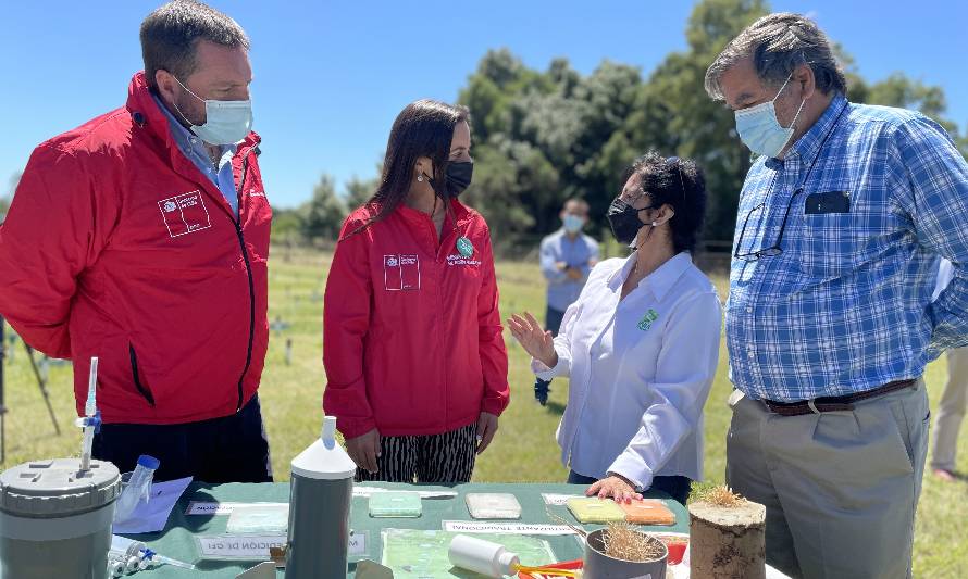 Ministra de Agricultura visita proyectos de investigación que buscan mejorar la sustentabilidad de la producción lechera