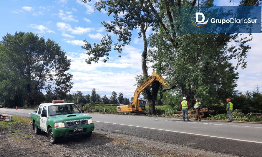 Carabineros pide precaución de conductores por trabajos en ruta Osorno-Puerto Octay