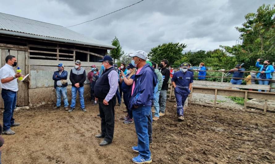 Productores se capacitan en Programa de Mejoramiento Genético para sus rebaños