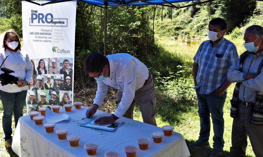 Investigarán positivo efecto de bosques nativos en la producción de miel diferenciada