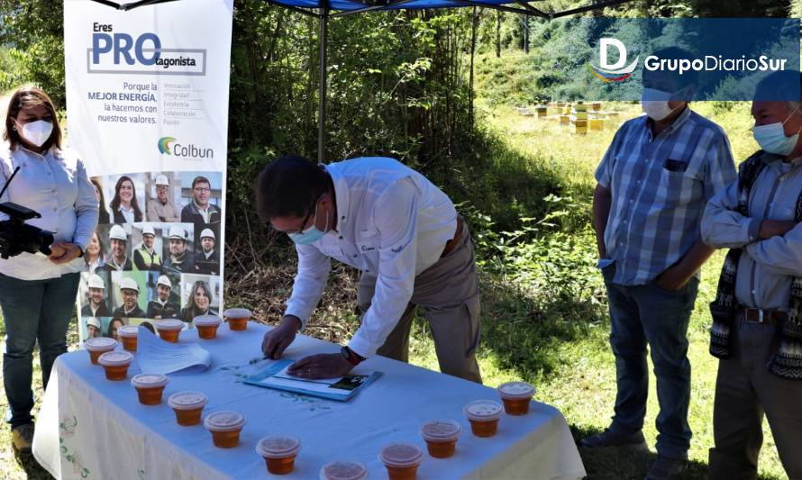 Investigarán positivo efecto de bosques nativos en la producción de miel diferenciadas