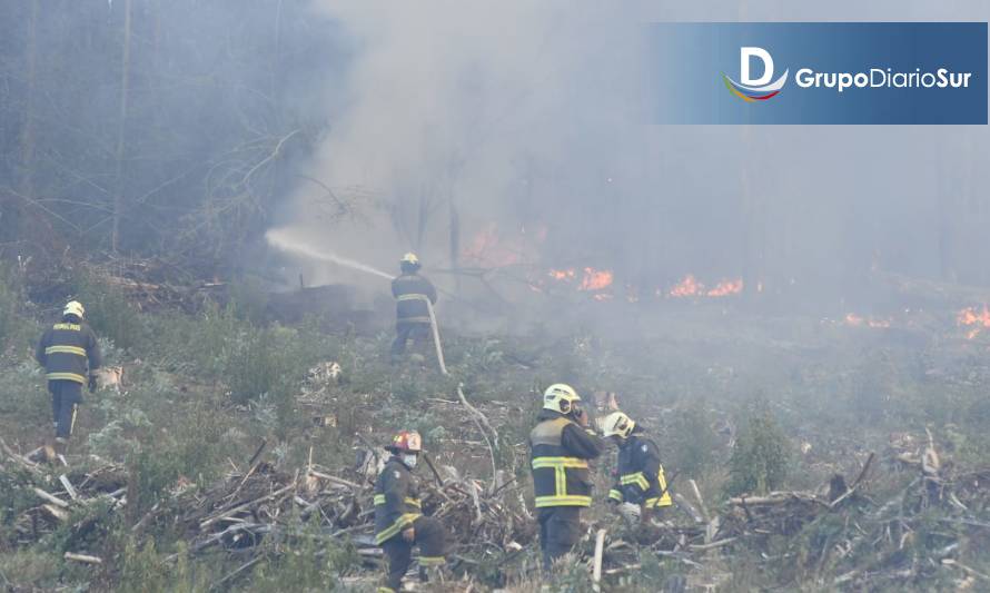 Gobernador Vallespín: "No están las condiciones ideales" para el combate de incendio forestal
