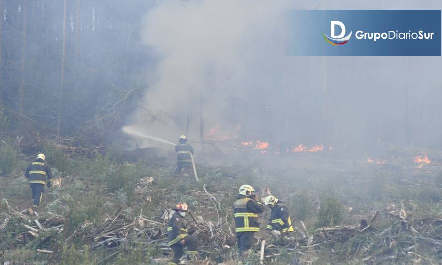Bomberos, Conaf, Onemi y Municipio continúan trabajo coordinado para controlar incendio forestal