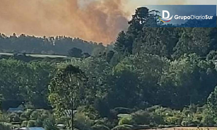 Alerta Amarilla para Osorno por incendio forestal