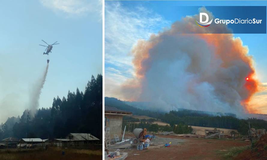 Incendio forestal de proporciones amenaza viviendas en Paillaco