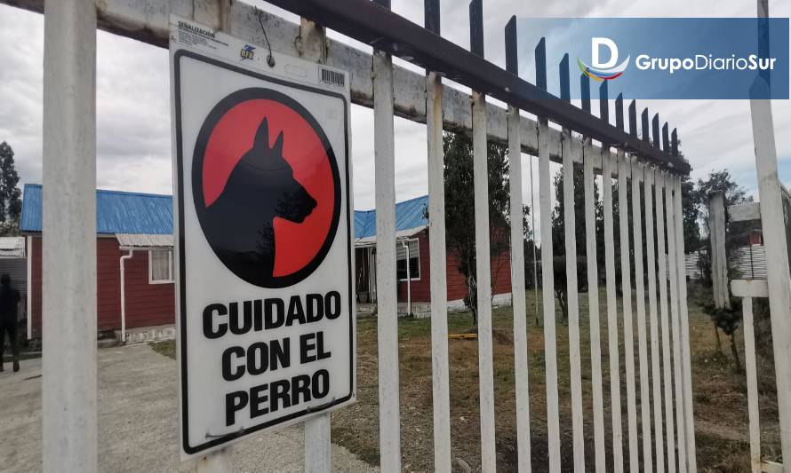 “Los perros conocían y jugaban con mi nieto”. Hablan los abuelos del niño que murió por las mordeduras de 2 pitbull