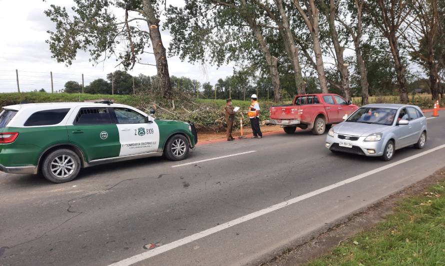 Carabineros informa sobre obras efectuadas en ruta Osorno - Puerto Octay