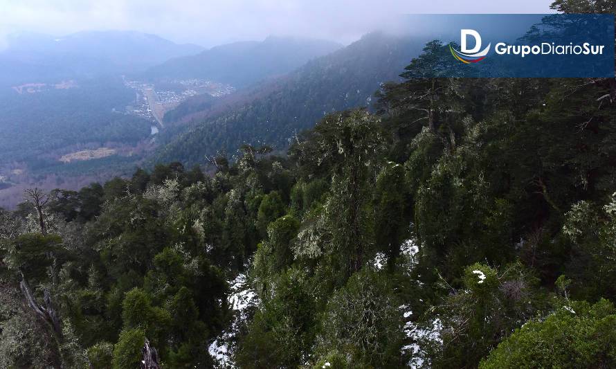 Áreas de conservación de parques de Chile y Argentina crearán un corredor binacional