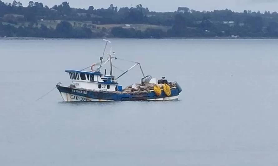 Armada investiga aposamientos de mariscos con marea roja en Calbuco 