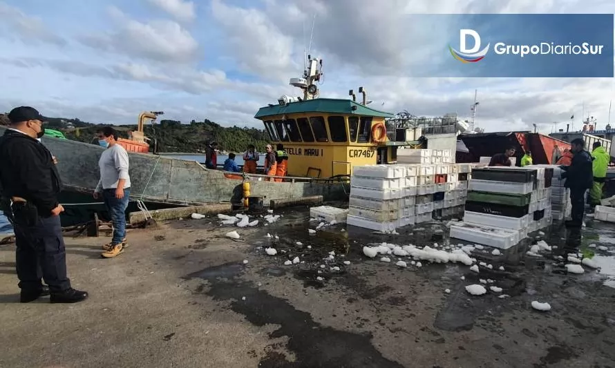 Decomisan 14 toneladas de recursos marinos en Chiloé