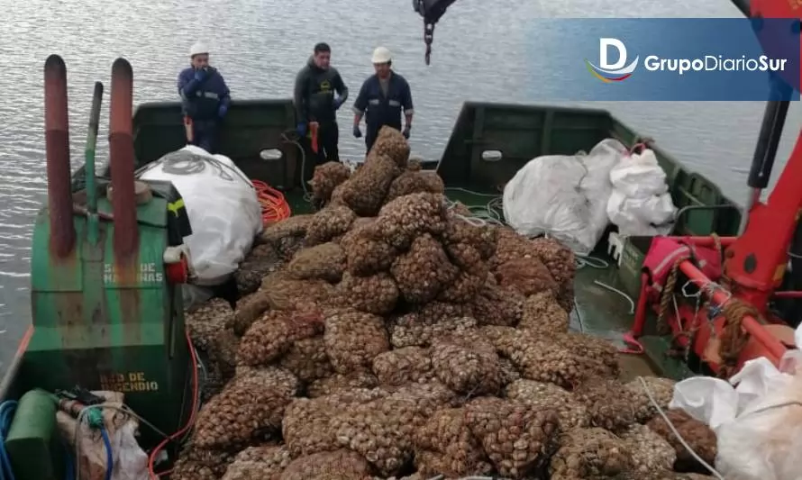 Eliminan cerca de 18 toneladas de mariscos provenientes de Aysén
