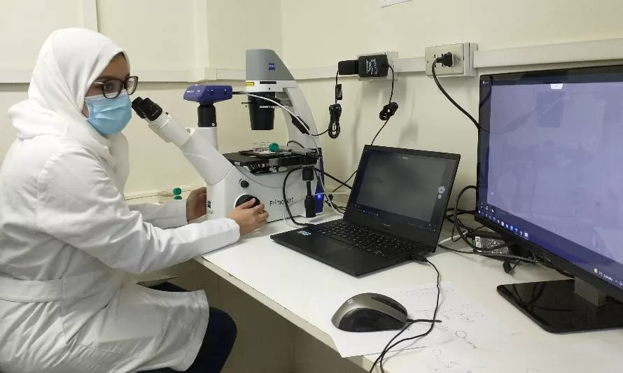 Grupo de Arabia Saudita conoce experiencia de investigadores ULagos con macroalgas