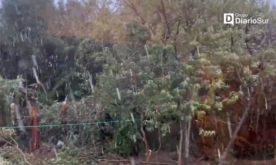 VIDEOS: Este miércoles cayó nieve en sectores altos de la isla de Chiloé 