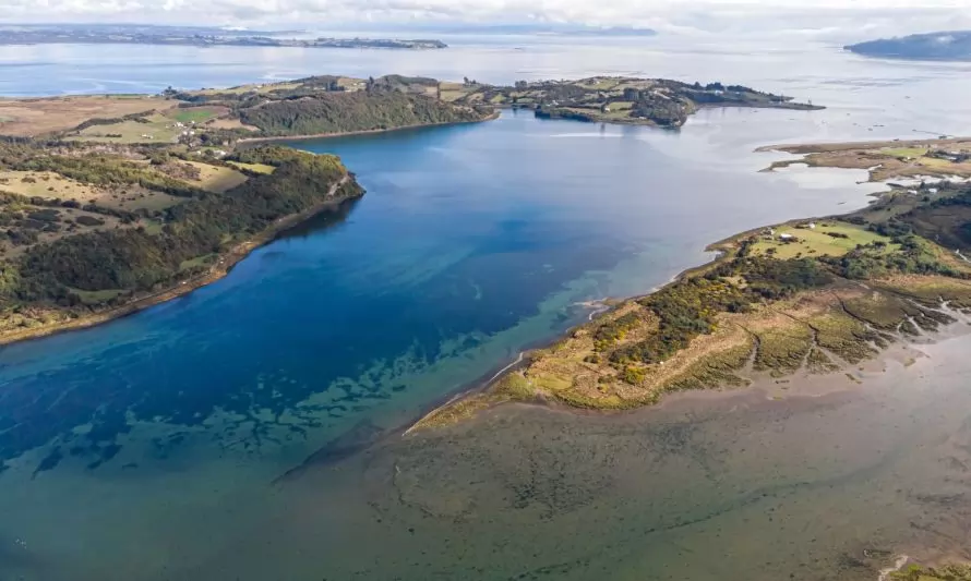 Declaran tres humedales costeros en Chiloé como nuevos Santuarios de la Naturaleza