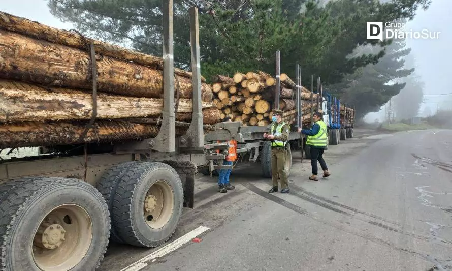Fiscalizan camiones para evitar hurto de madera en la Provincia de Osorno
