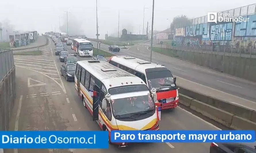 Con caravana de micros y colectivos continúa paro de conductores en Osorno