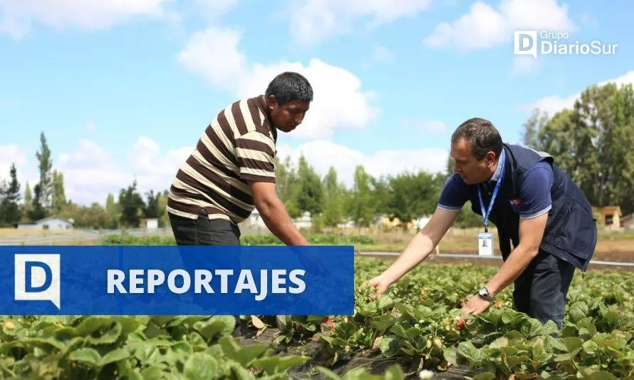 Hasta cinco meses sin sueldo: la difícil realidad de los trabajadores rurales de Prodesal