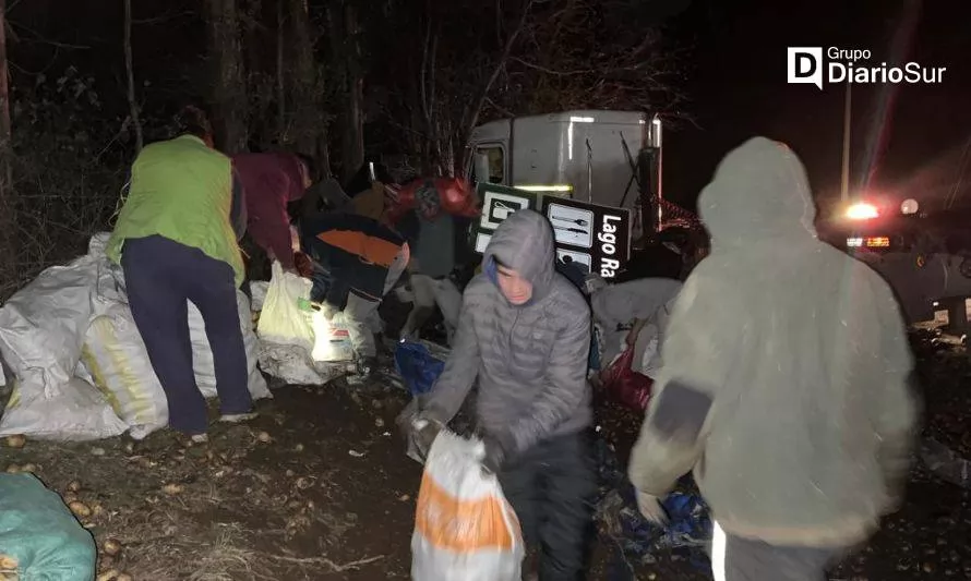 Vecinos de Paillaco agarraron papa: agricultor donó carga de camión chocado