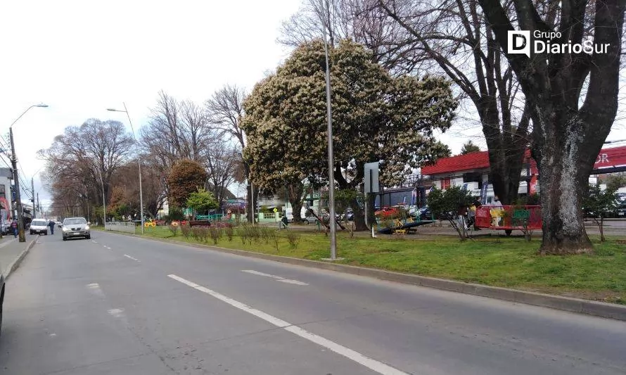 Concejala solicita nuevos accesos al terminal de buses de Osorno