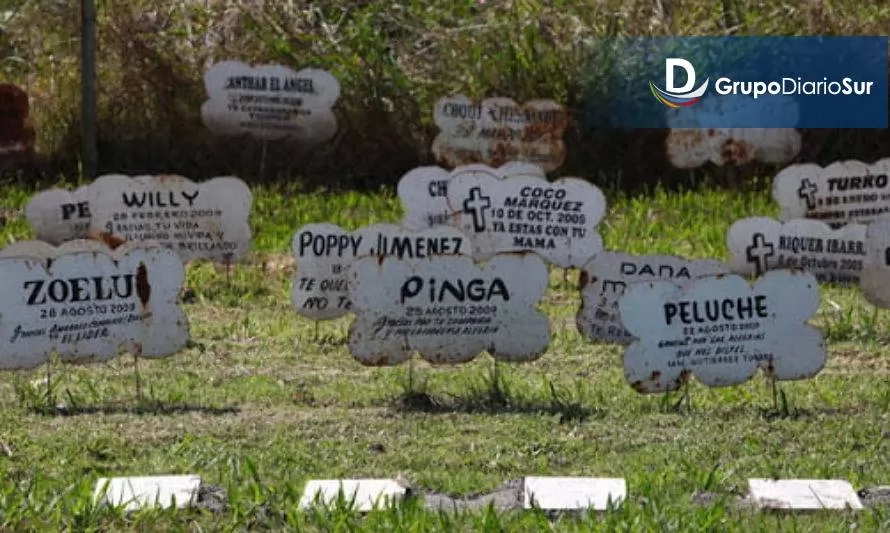 Municipio presentará detalles de futuro Cementerio de Mascotas
