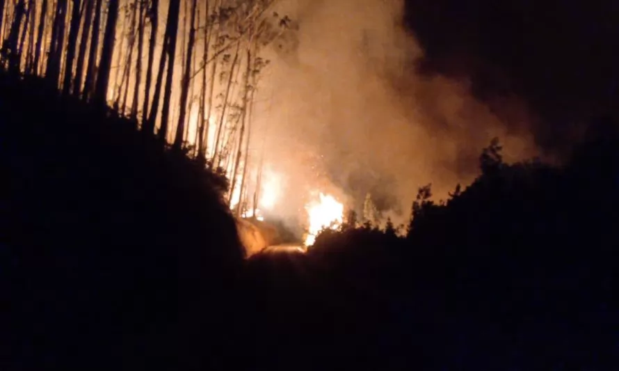 Valdivia y Paillaco se mantienen en Alerta Roja por incendio forestal 
