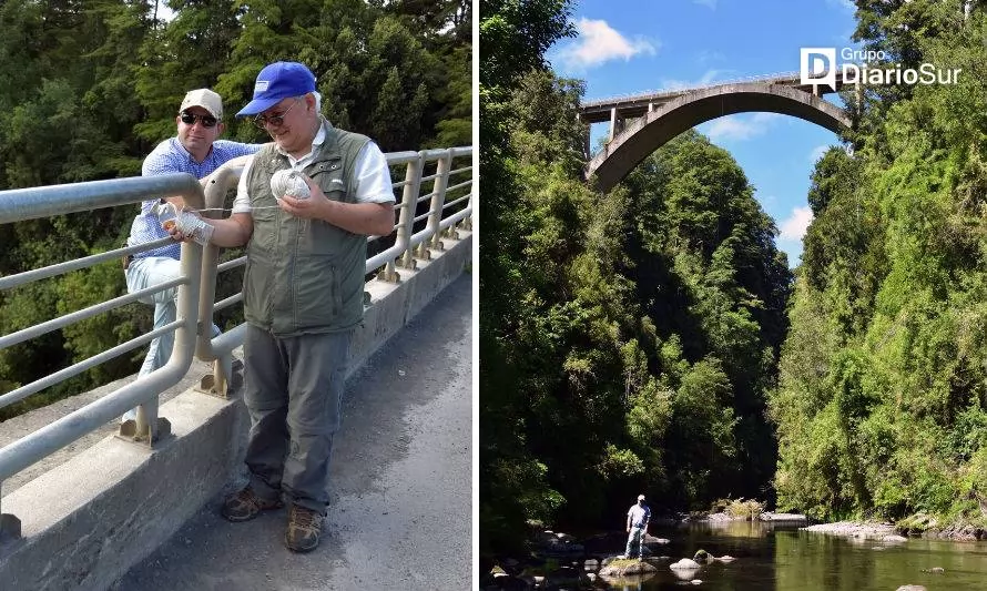 Puente Chirre de Río Bueno: aclaran su verdadera altura