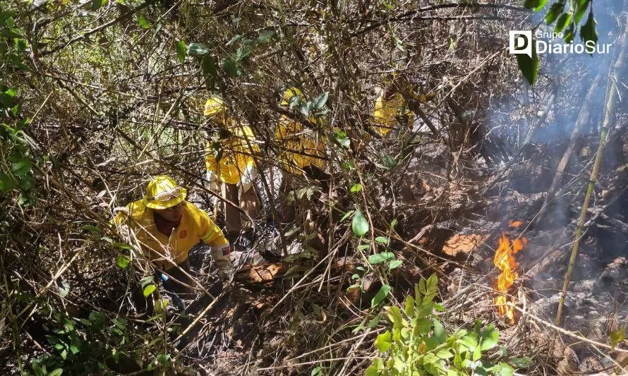 Brigada de Destacamento Arauco se suma a combate de incendio en Paillaco