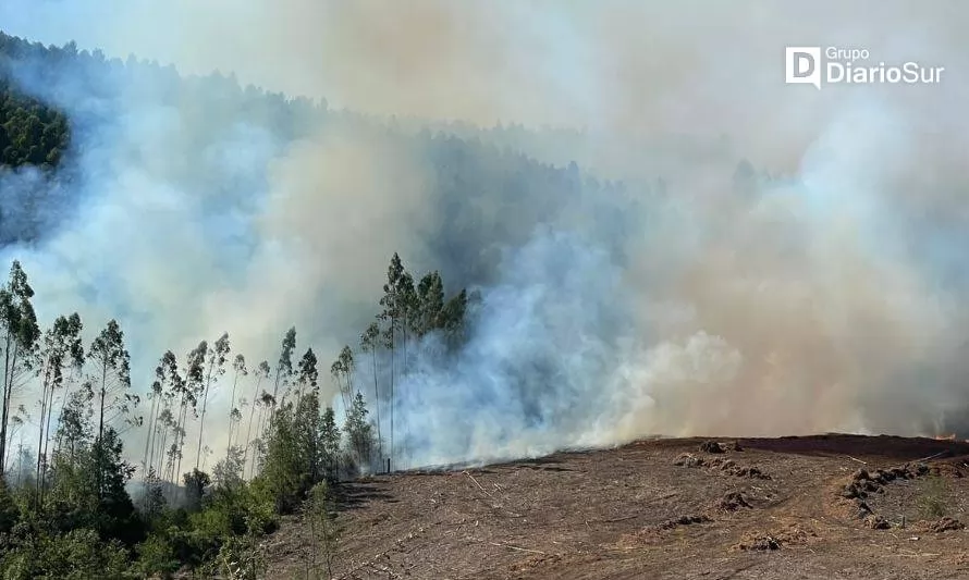 Bomberos de Osorno apoya en combate a incendio forestal en Purranque