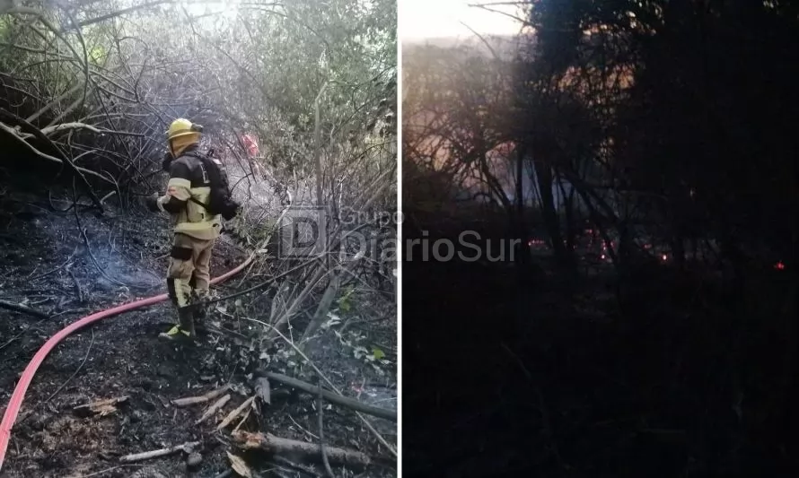 Bomberos y Conaf combaten incendio en sector rural de Río Bueno