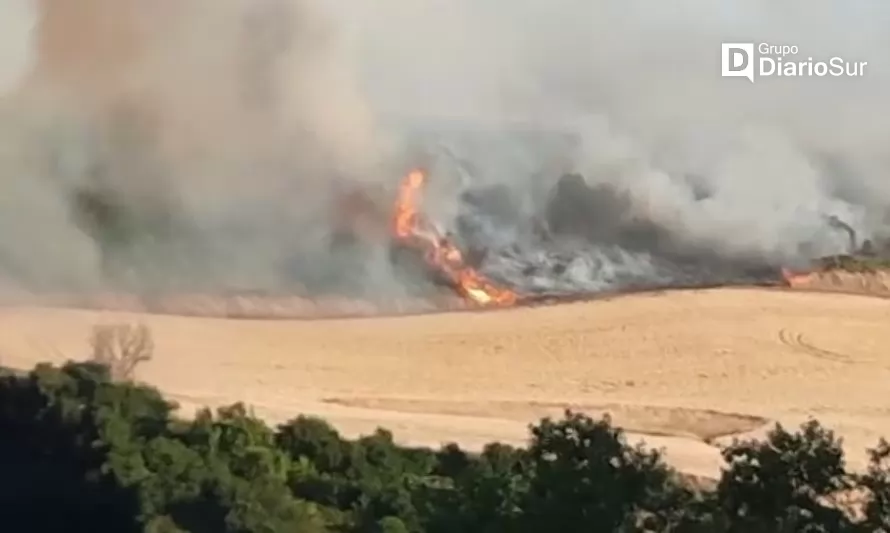 Incendios forestales: declaran Alerta Roja para la comuna de San Pablo