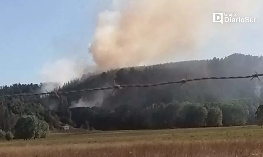Bomberos hizo frente a dos incendios forestales en la provincia de Osorno